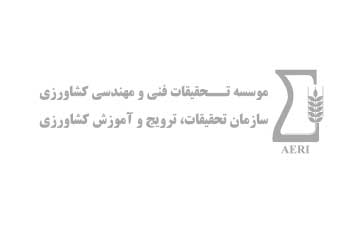 رشد اقتصاد دیجیتال در سال جاری