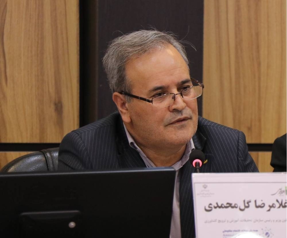 فرهنگ مصرف؛ حلقه مفقوده مدیریت غذا و منابع