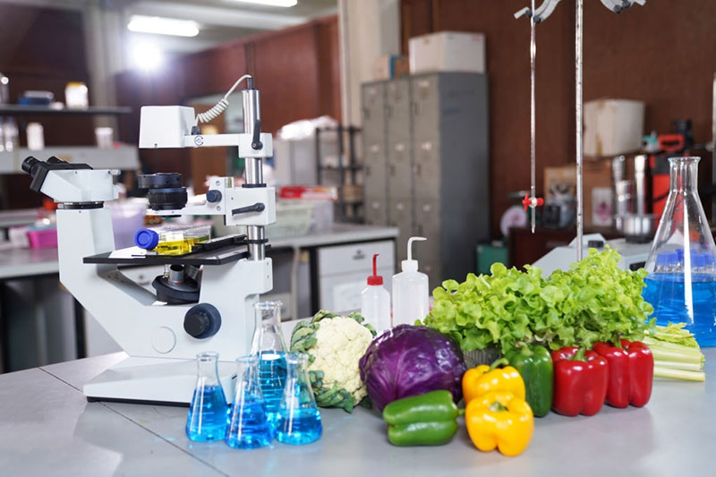 دستاوردهای صنایع غذایی