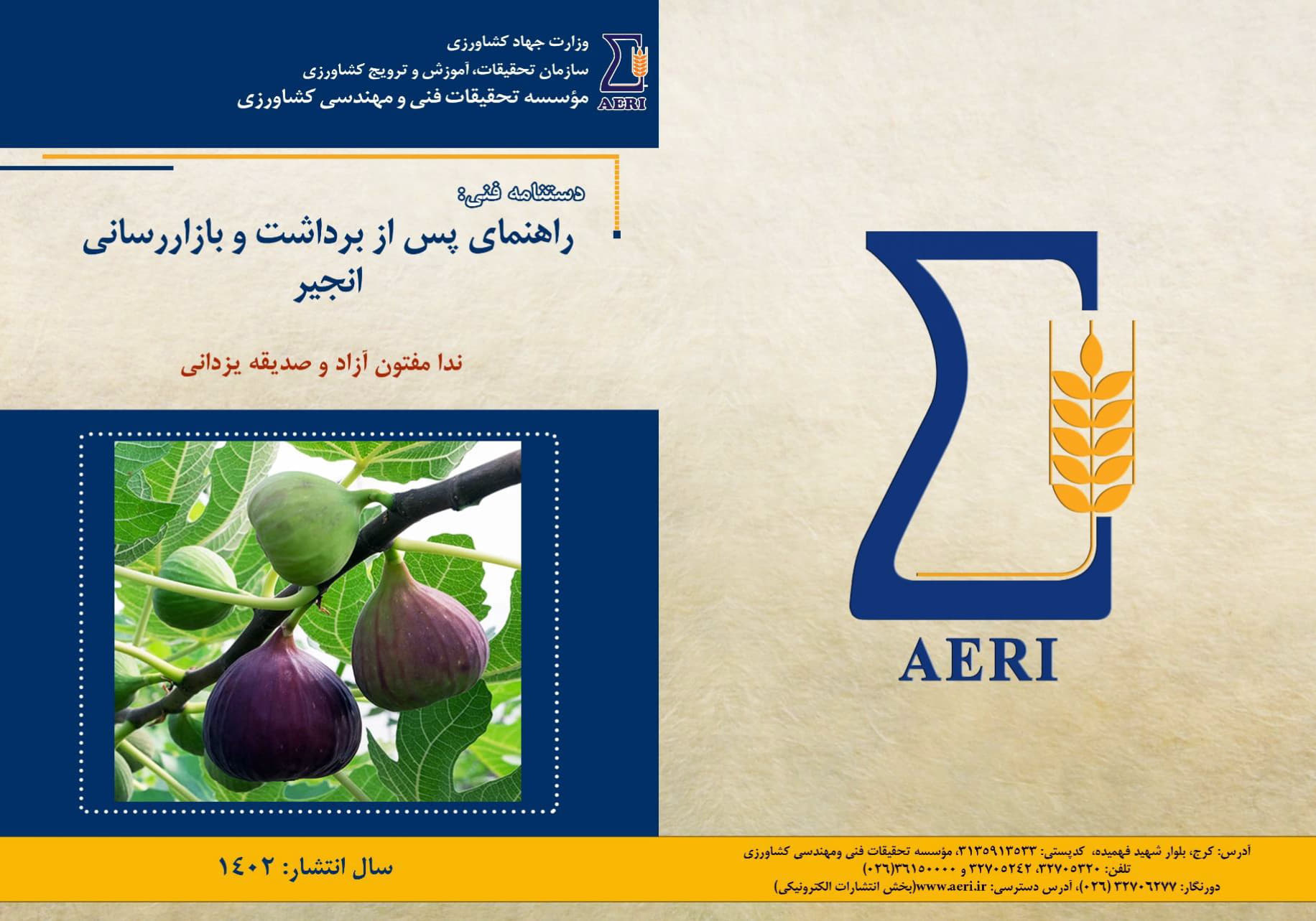 راهنمای پس از برداشت و بازاررسانی انجیر