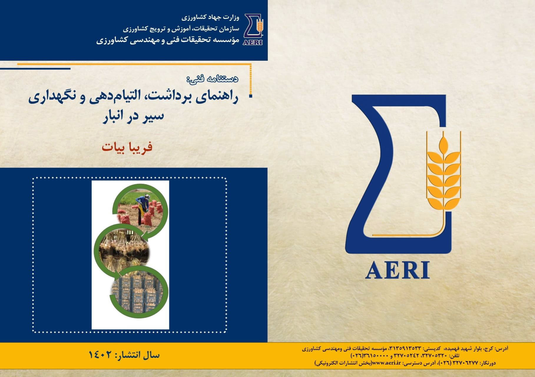 برداشت، الیتام دهی و نگه‌داری سیر در انبار