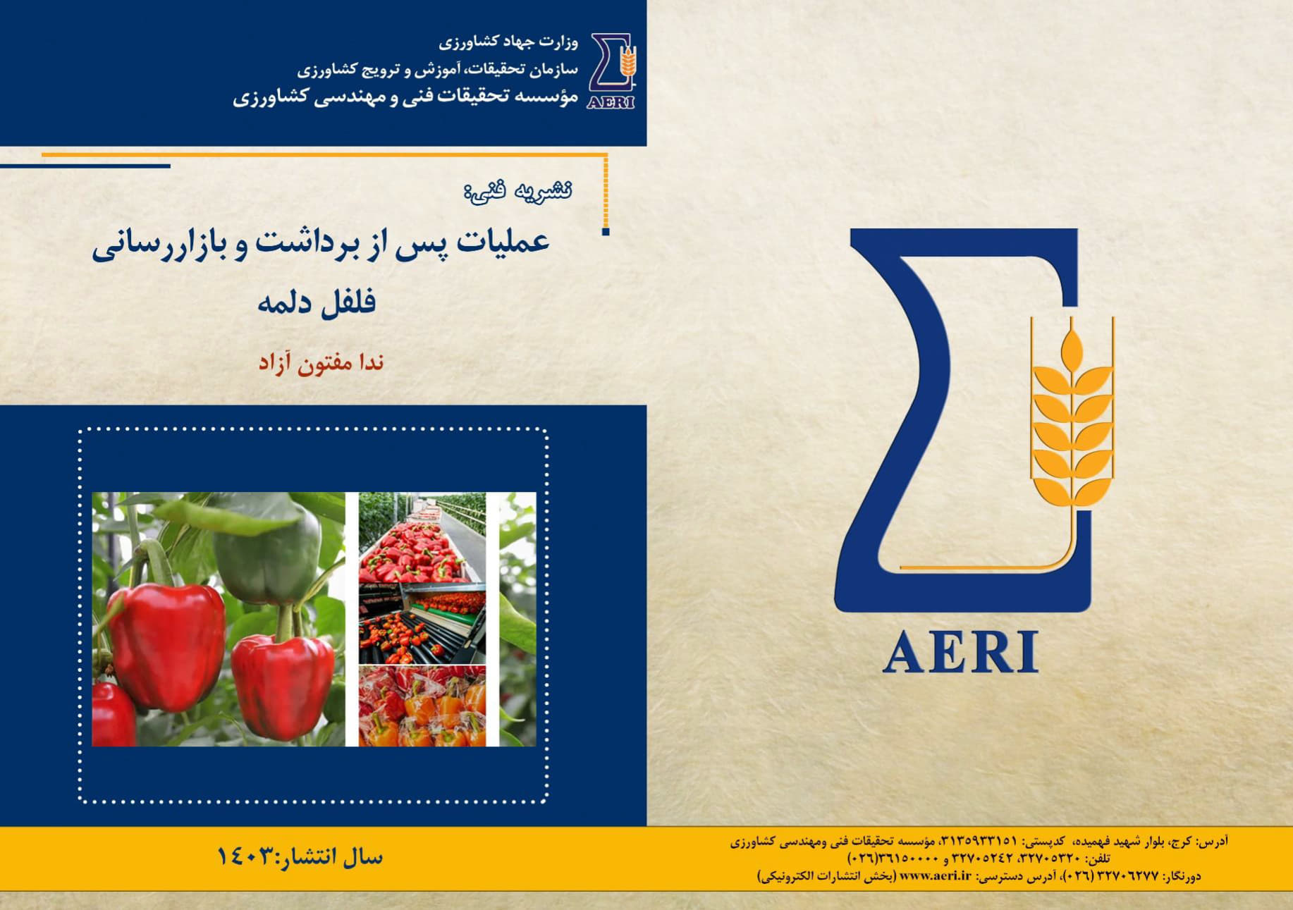 عملیات پس از برداشت و بازاررسانی فلفل دلمه