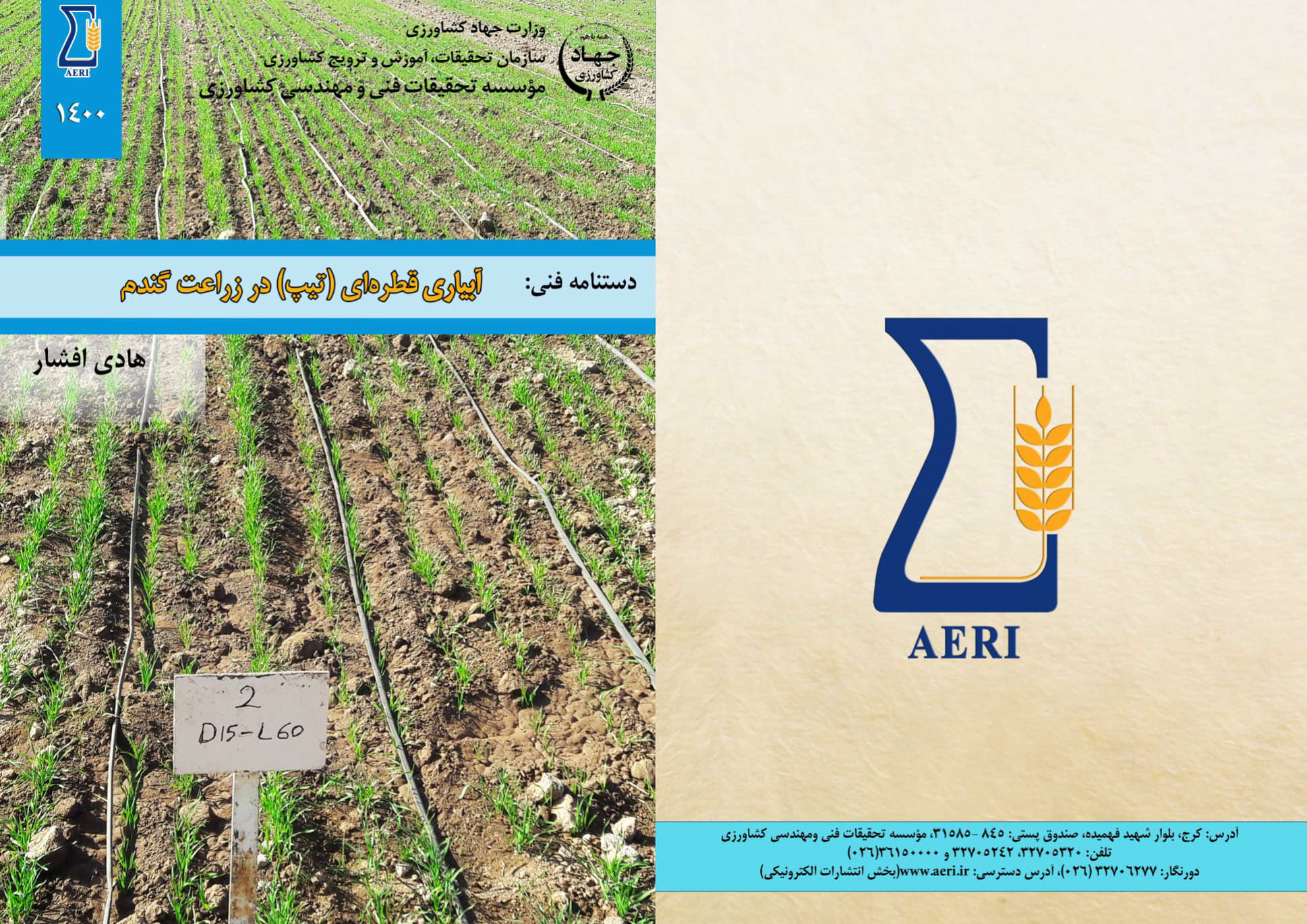 آبیاری قطره‌ای (تیپ) در زراعت گندم